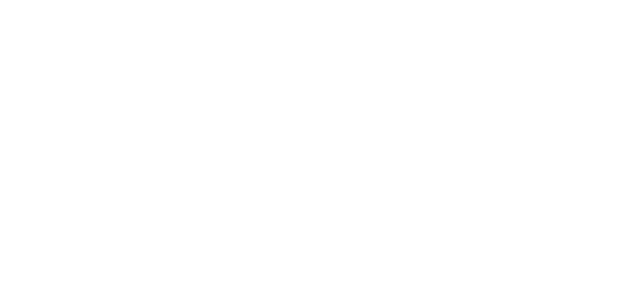 FEA Finance USP Logo